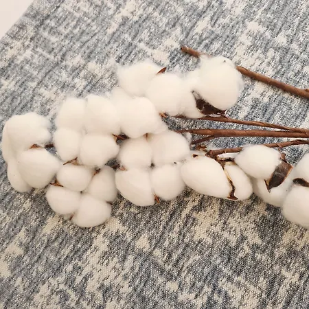 Raval Botella Private Hostel