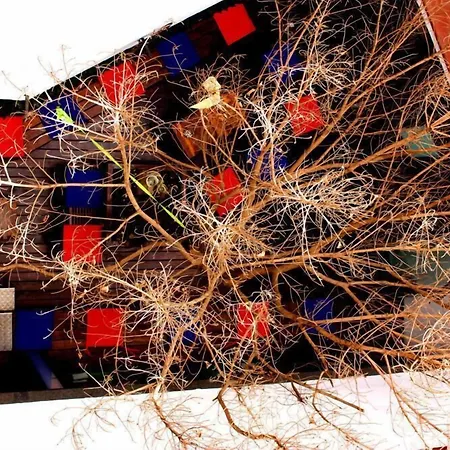 Raval Botella Private * Barcelona